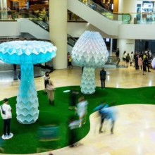  江西省吉安市青原區(qū)毅力木制品廠 主營 油漆刷木柄 荷樹